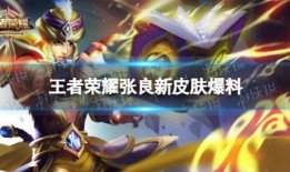 新皮肤爆料王者最新视频,神秘英雄华丽蜕变，视觉盛宴即将开启！