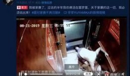 香港爆料家暴案视频大全,触目惊心的家庭悲剧汇编