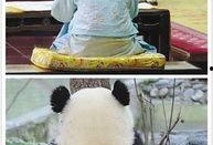 娱乐圈吃瓜群众的句子,揭秘明星幕后故事