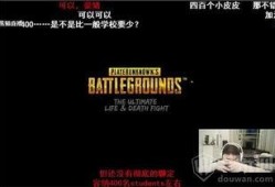 大兴直播爆料最新消息今天,今日热点事件深度解析