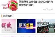 肥西女婿爆料新闻视频播放,揭秘背后惊人真相