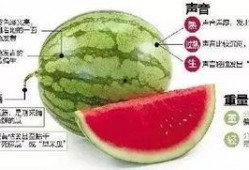 郫县网红吃瓜群微信,揭秘网络社交圈的趣味与争议