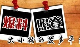 彩塘新闻爆料,揭秘彩塘镇最新动态与热点事件