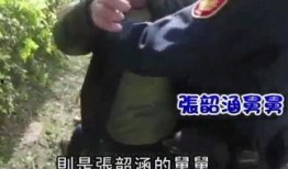 在哪里看舅舅的爆料视频,视频背后的惊人真相