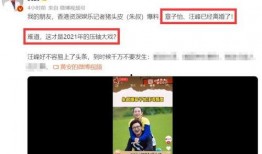大瓜爆料汪峰视频播放全集,大瓜爆料视频全集深度解析