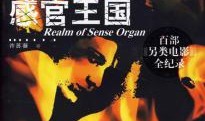 感官王国高清在线观看,高清在线观影，沉浸式感官盛宴
