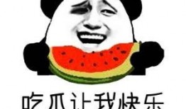 娱乐吃瓜酱你是破防了吗,揭秘“破防”背后的真相与情感波动