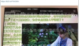 东华村特大爆料事件视频,揭秘背后惊人真相
